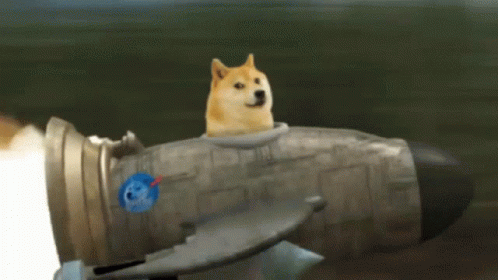 Rocket Doge