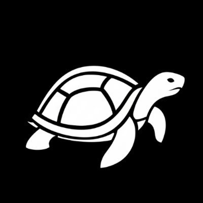 White turtle on a black background.