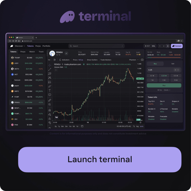 A dark-themed Terminal crypto trading platform displaying charts, token prices, and a 'Launch terminal' button.